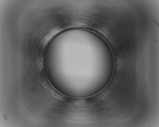 X0000103911363200809191252