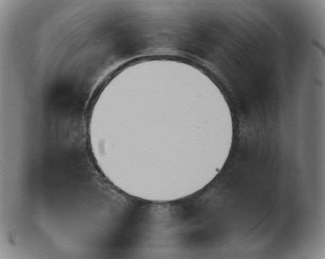 X0000103911364200809191252