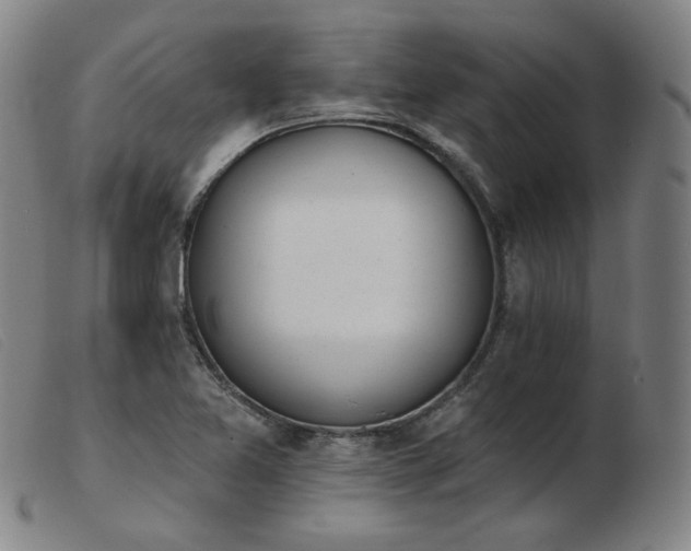 X0000103911365200809191252