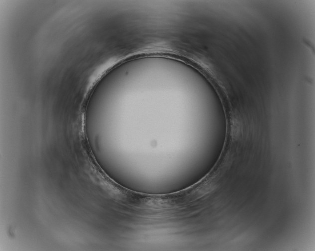 X0000103911366200809191252