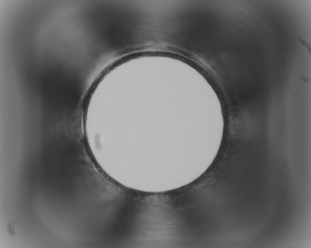 X0000103911368200809191252
