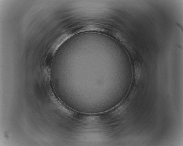X0000103911369200809191252