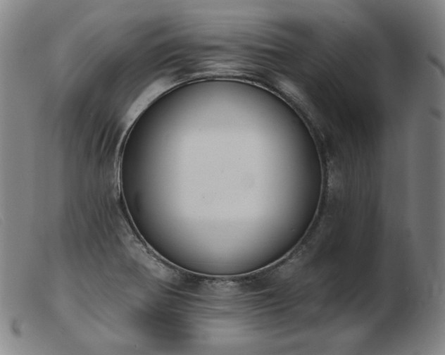 X0000103911370200809191252