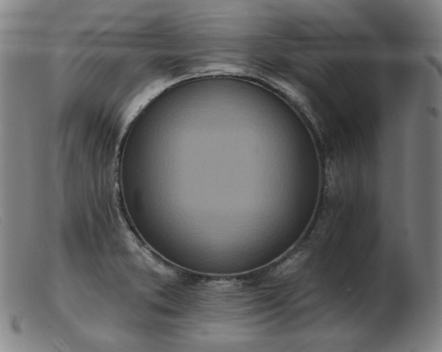 X0000103911373200809191252