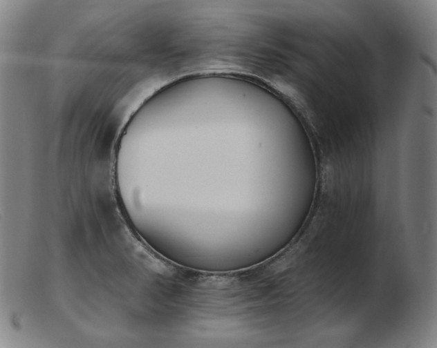 X0000103911374200809191252