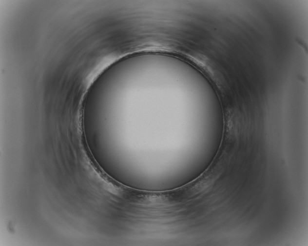 X0000103911375200809191252