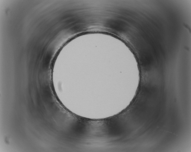 X0000103911376200809191252