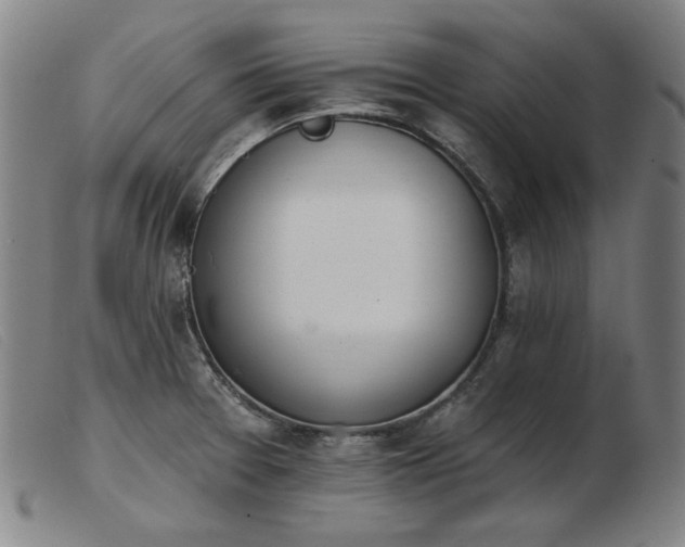 X0000103911377200809191252