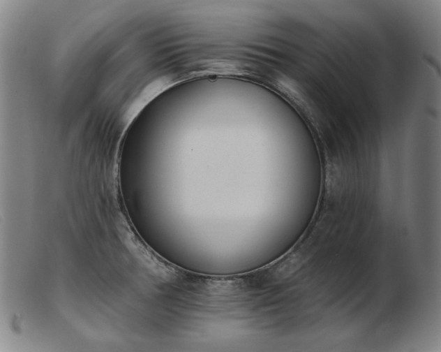X0000103911378200809191252