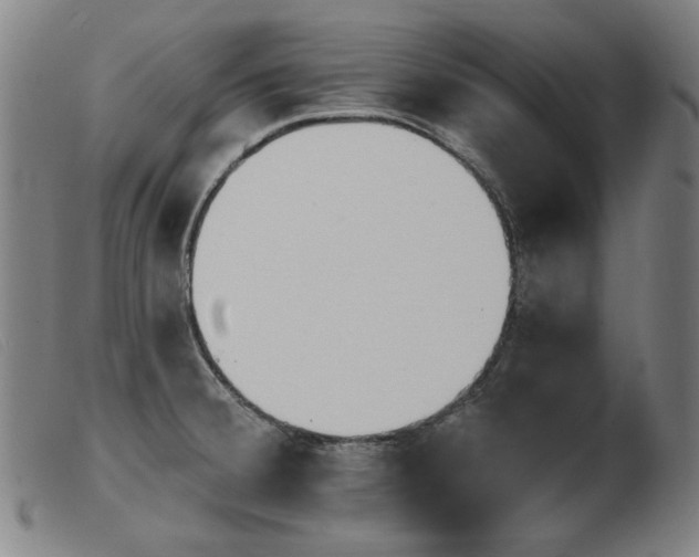 X0000103911380200809191252