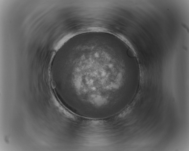 X0000103911381200809191252