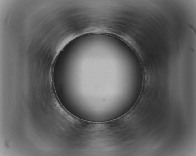 X0000103911382200809191252