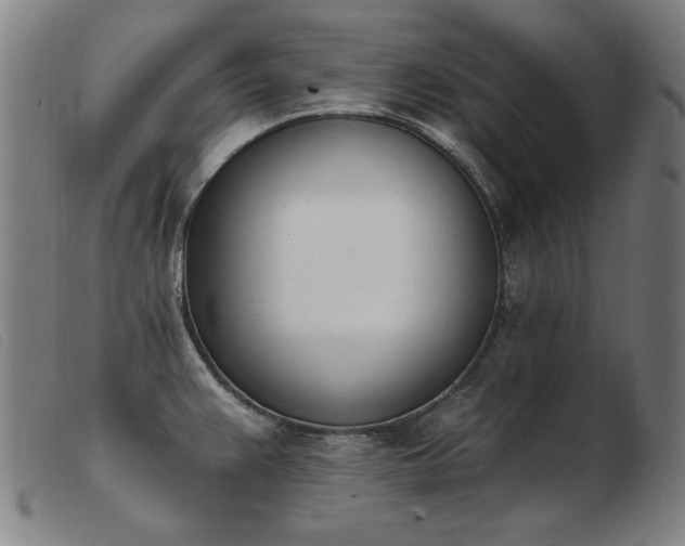 X0000103911383200809191252