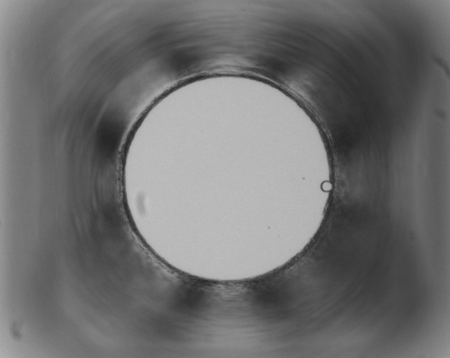 X0000103911384200809191252