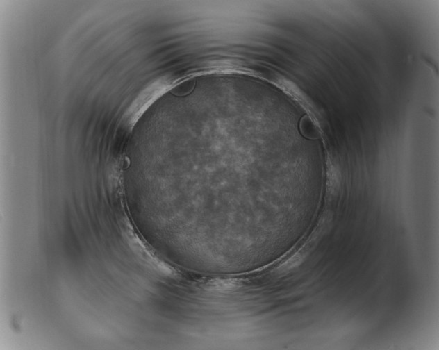 X0000103911385200809191252