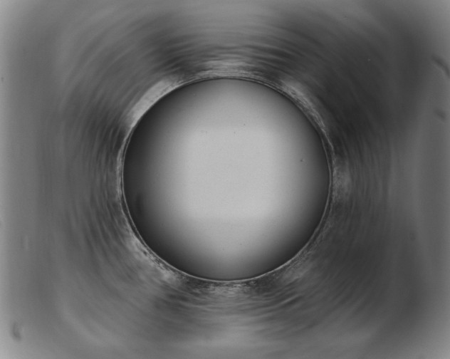 X0000103911386200809191252