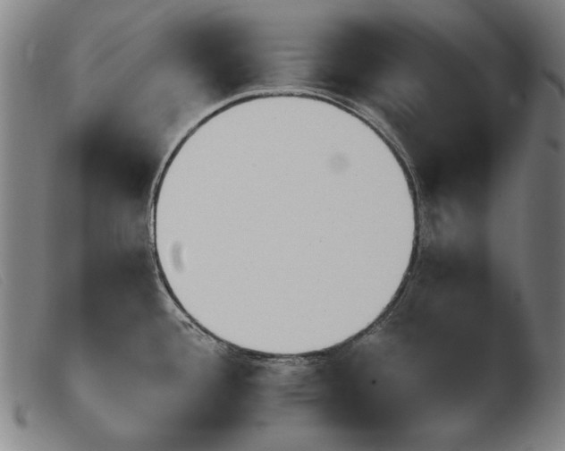 X0000103911388200809191252