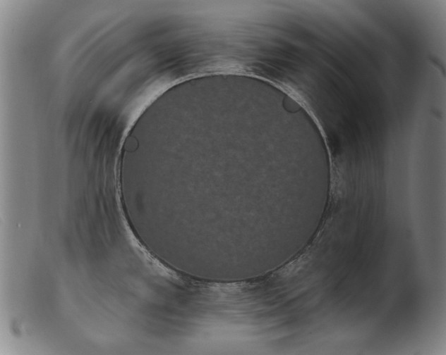 X0000103911389200809191252