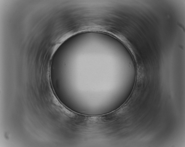X0000103911390200809191252