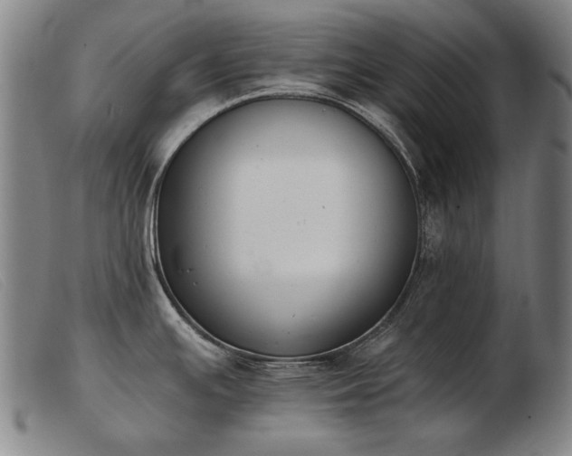 X0000103911391200809191252