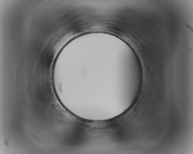 X0000103911392200809191252