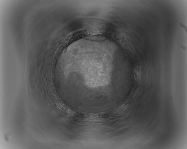 X0000103911393200809191251
