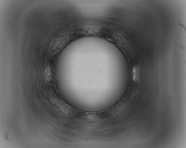 X0000103911395200809191251
