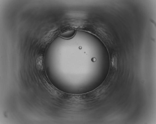 X0000103911396200809191251