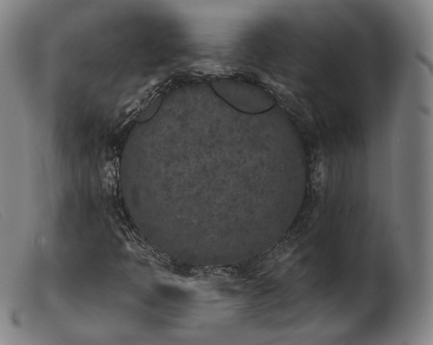 X0000103911397200809191251