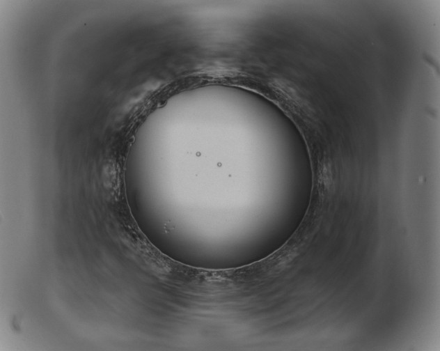 X0000103911398200809191251