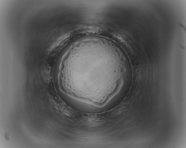 X0000103911399200809191251