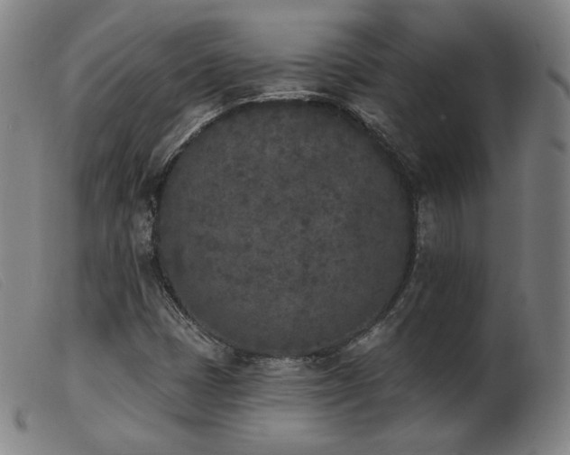 X0000103911401200809191251