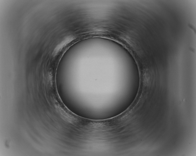 X0000103911402200809191251