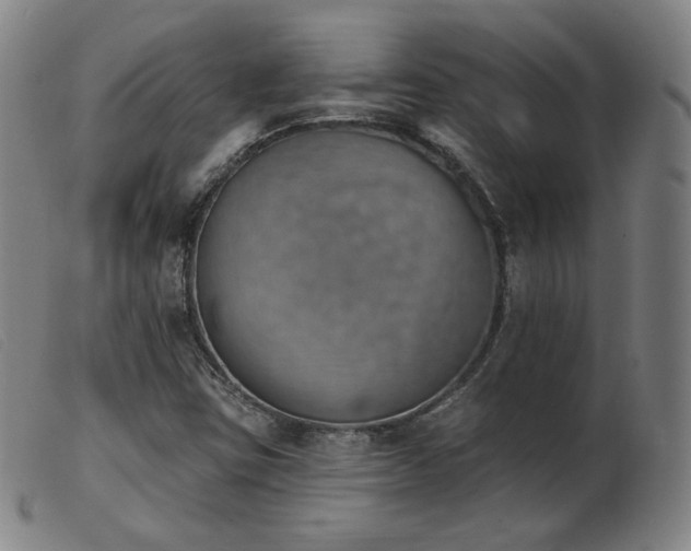 X0000103911403200809191251