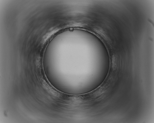 X0000103911404200809191251