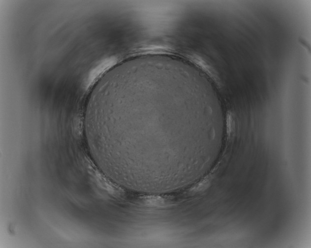 X0000103911405200809191251
