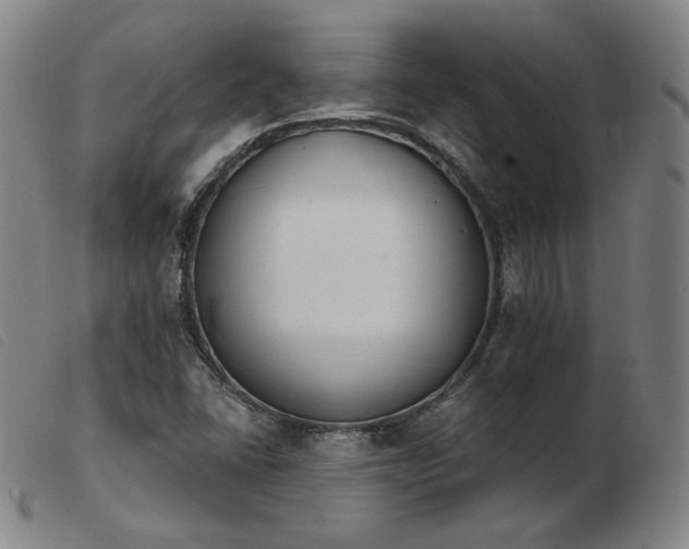 X0000103911406200809191251