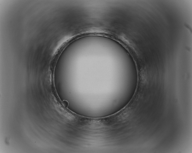 X0000103911408200809191251