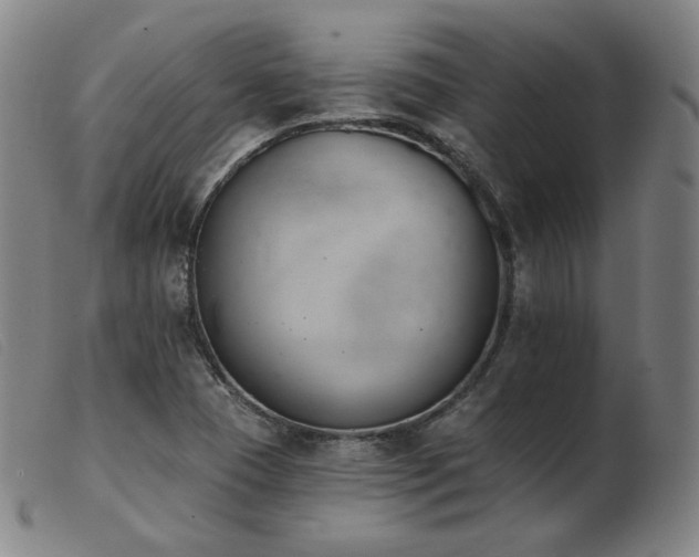X0000103911409200809191251