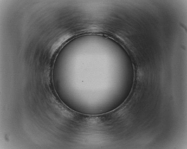 X0000103911410200809191251