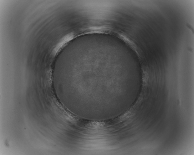 X0000103911411200809191251