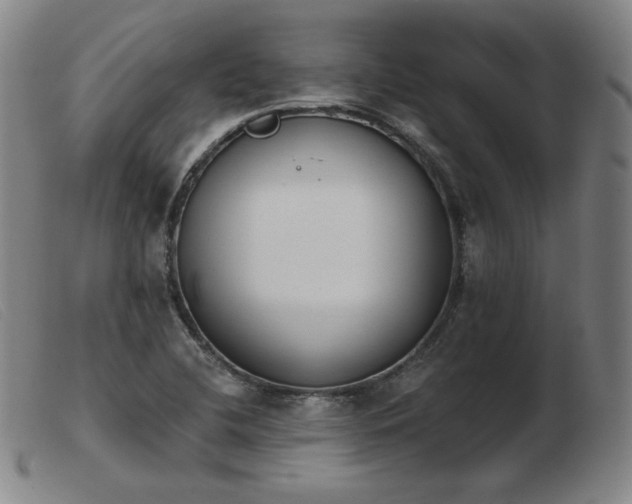 X0000103911412200809191251