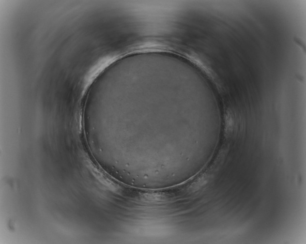 X0000103911413200809191251