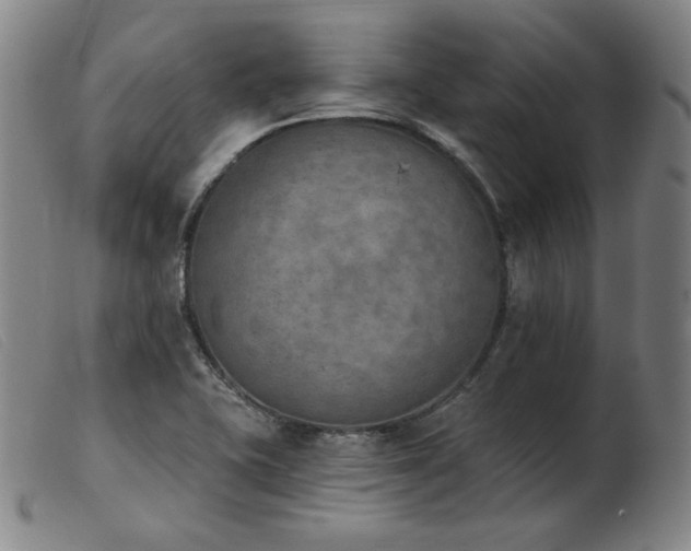 X0000103911415200809191251