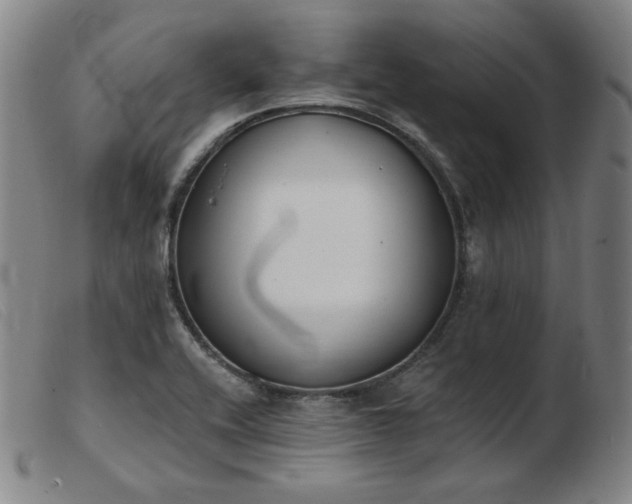 X0000103911416200809191251