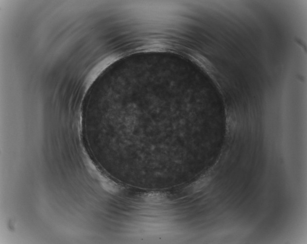 X0000103911418200809191251
