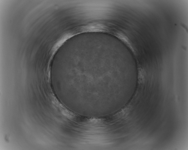 X0000103911419200809191251