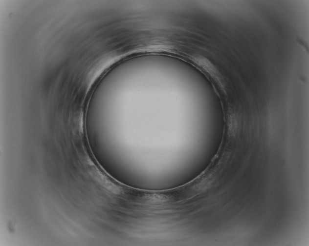 X0000103911420200809191251