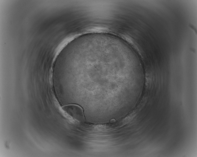 X0000103911421200809191251
