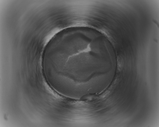 X0000103911422200809191251